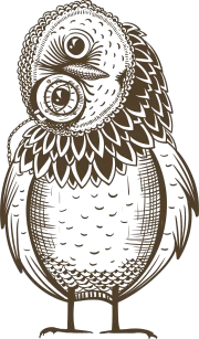 Drawing of Owl